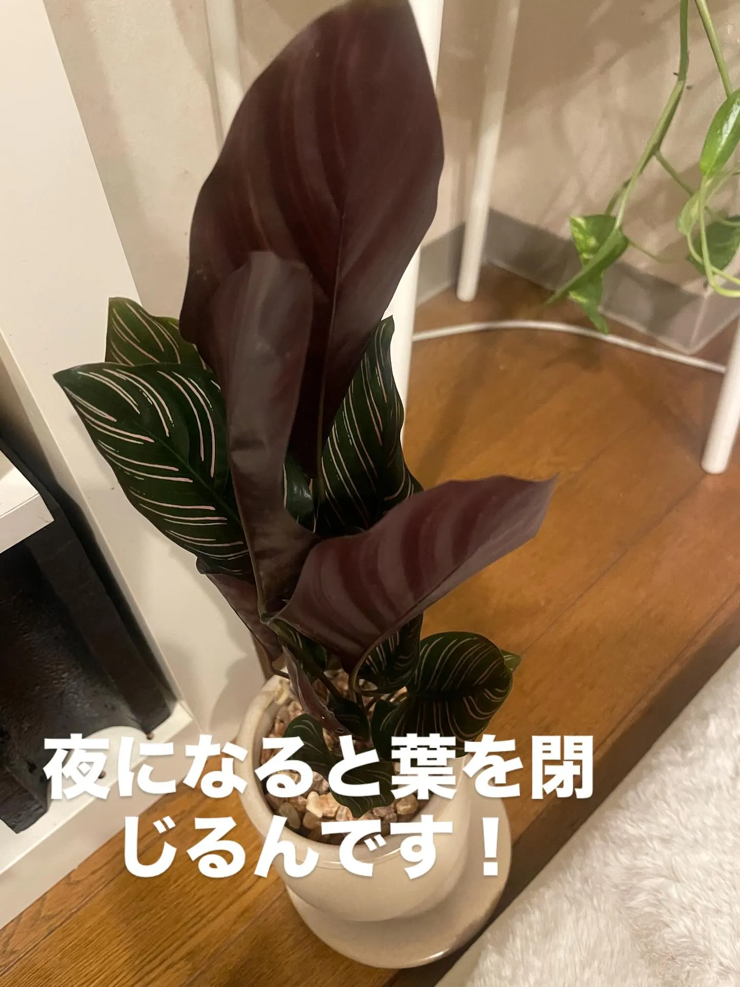 大阪市にある精神専門の訪問看護ステーション