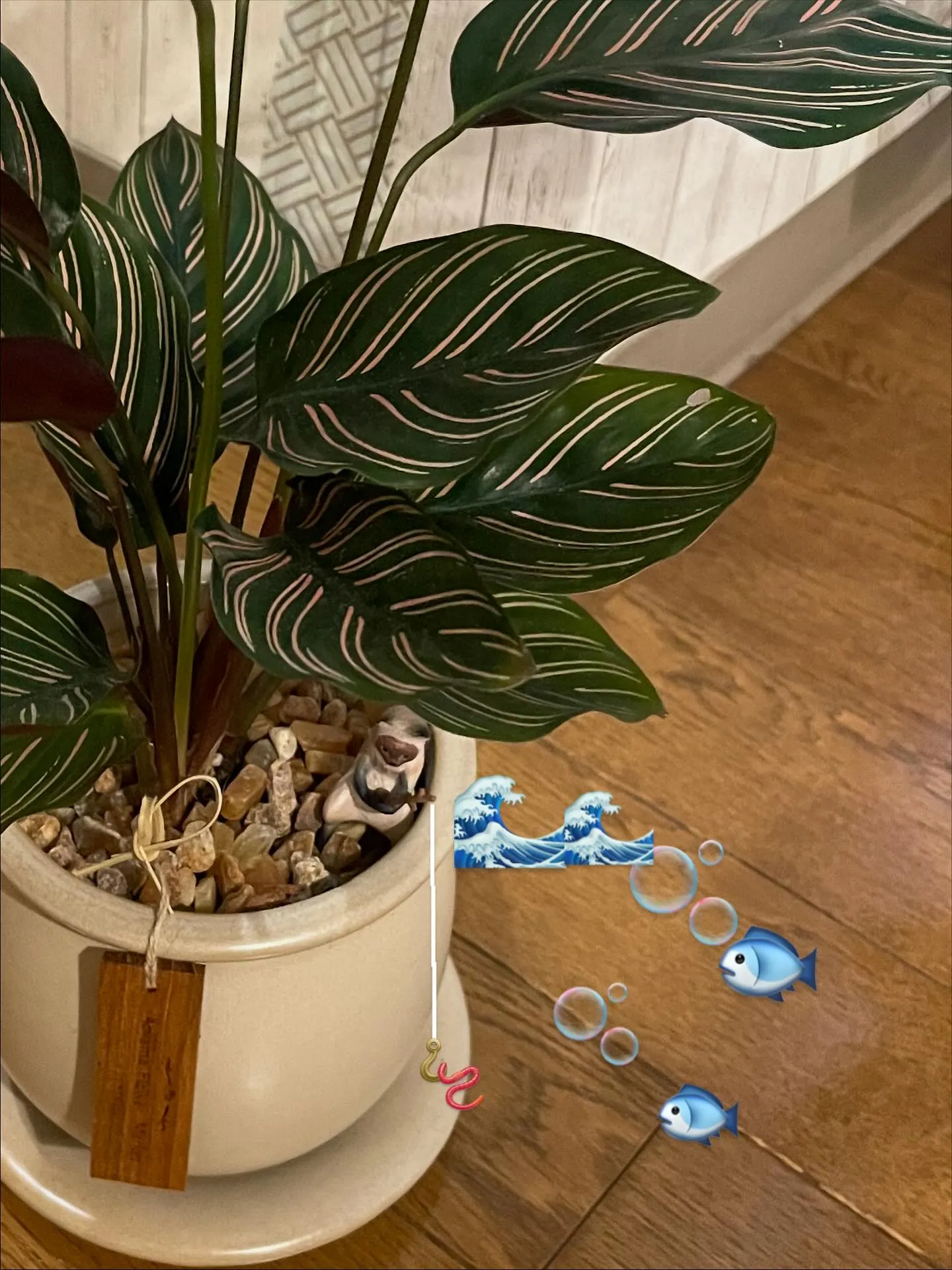 大阪市にある精神専門の訪問看護ステーション