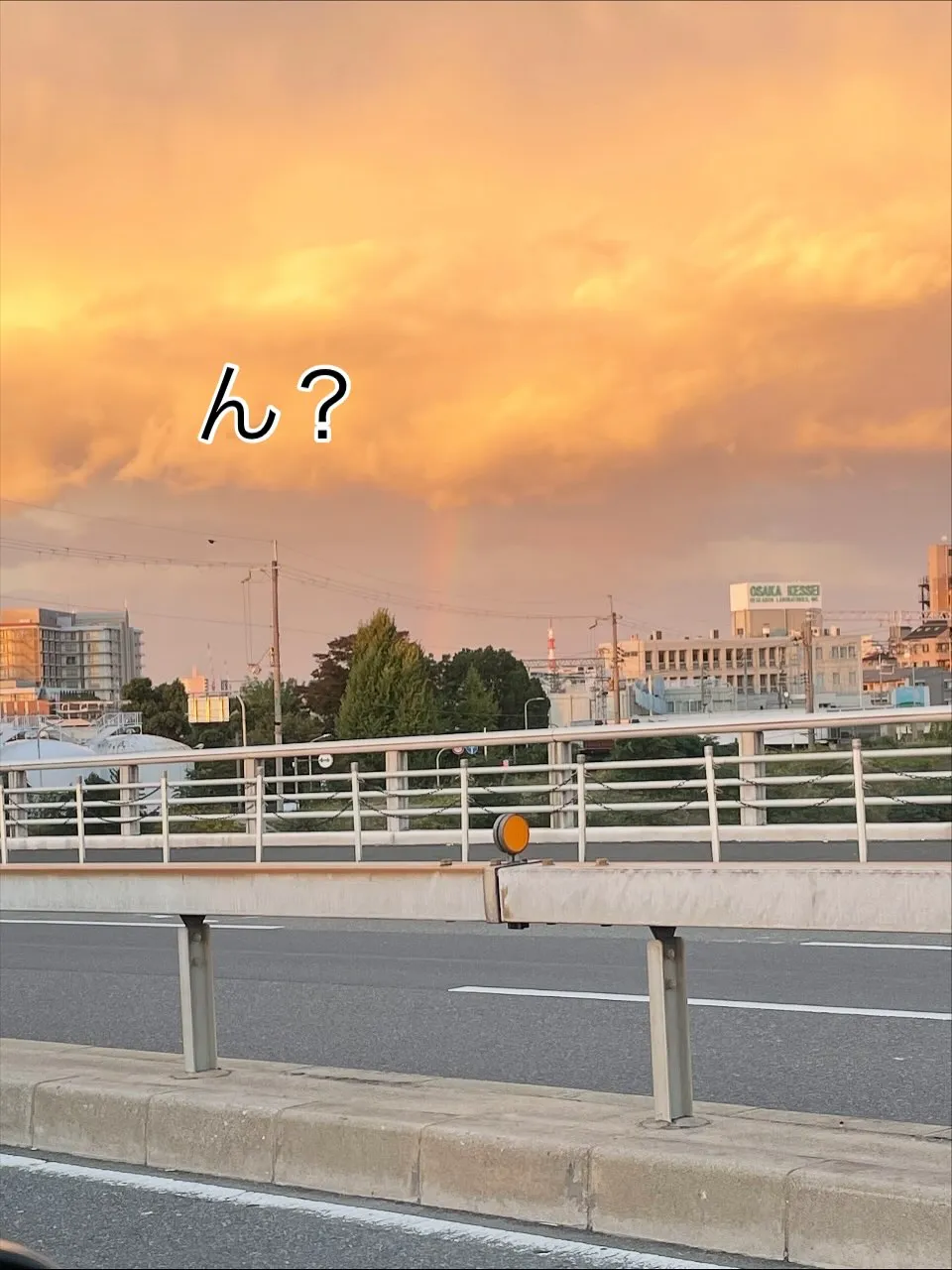 幸運の虹🌈の出現‼️‼️