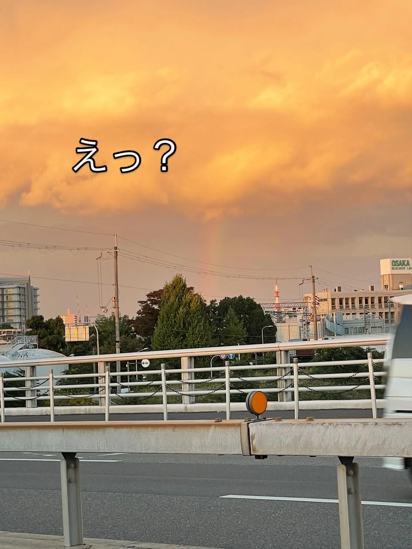 幸運の虹🌈の出現‼️‼️