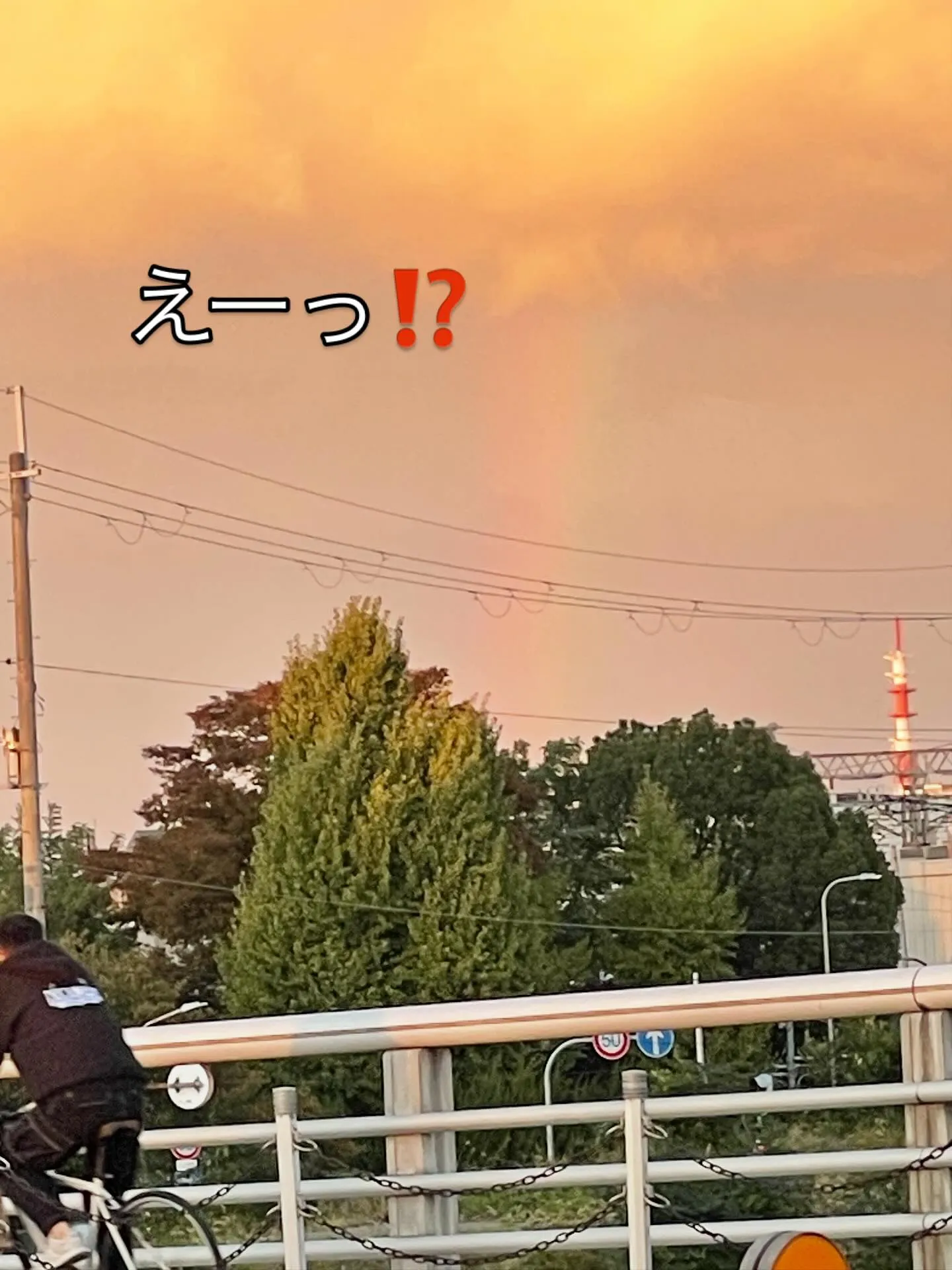 幸運の虹🌈の出現‼️‼️