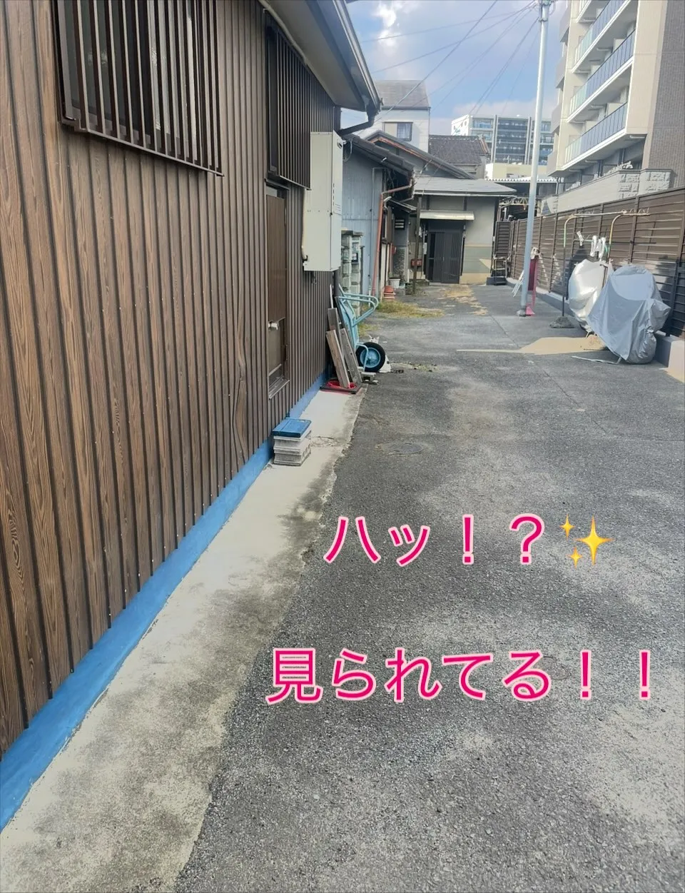 訪問道中の出来事‼️