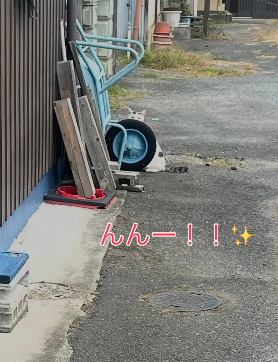 訪問道中の出来事‼️