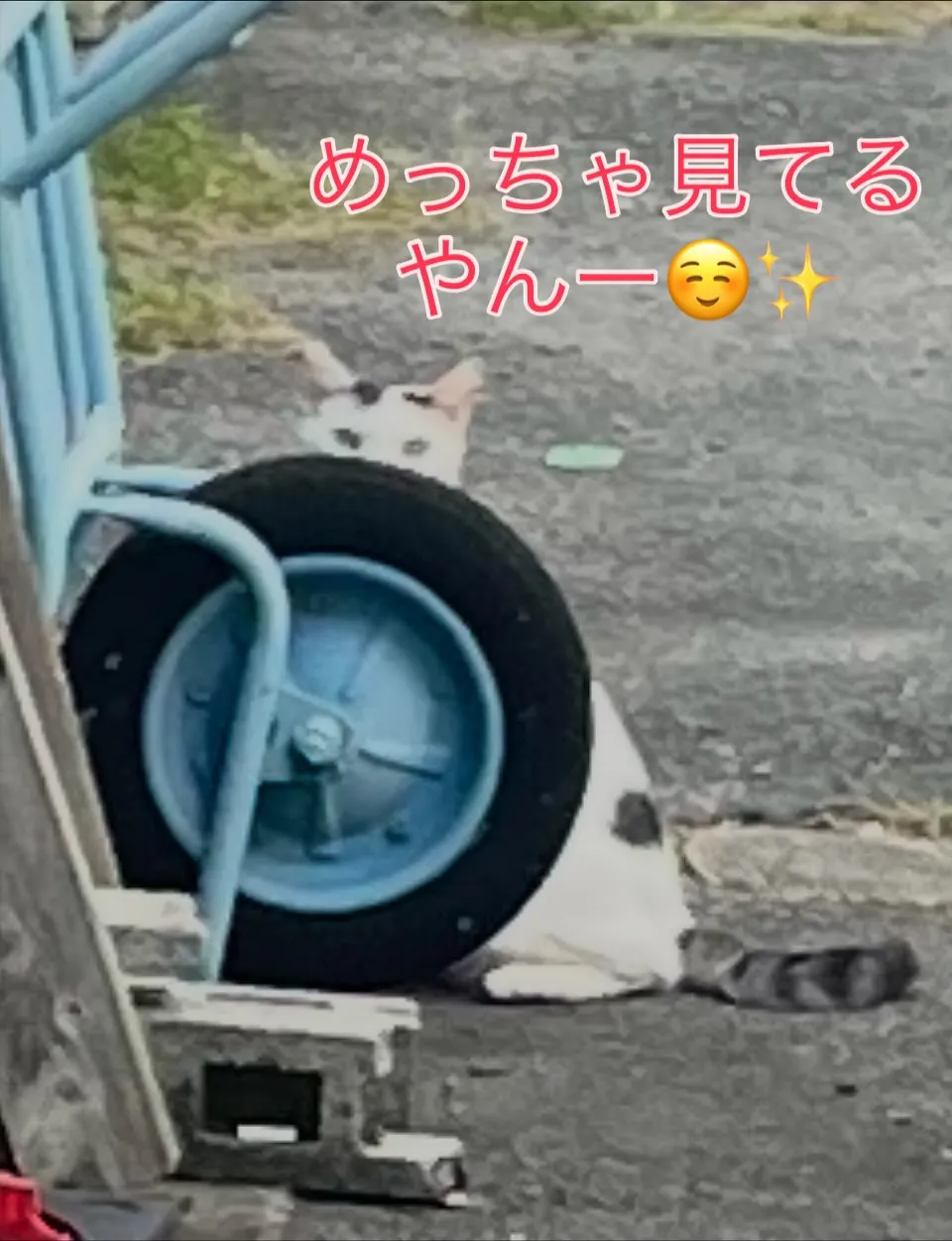 訪問道中の出来事‼️