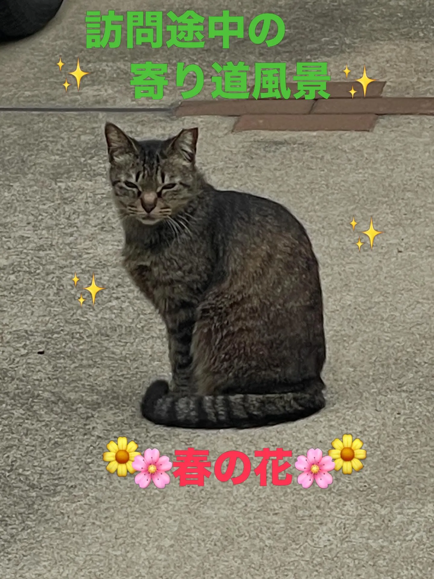 🌸訪問途中のとある風景🌸