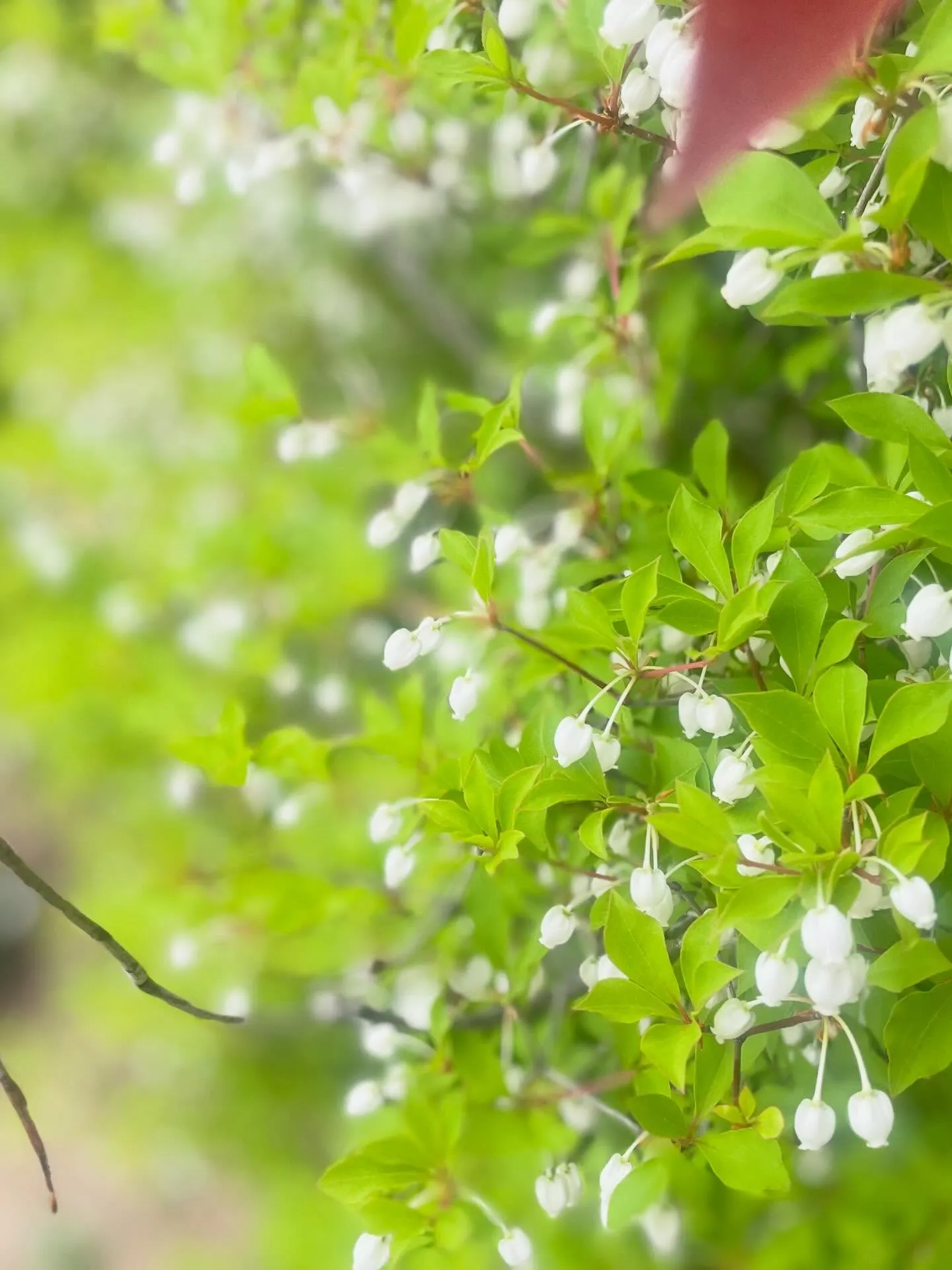 🌸訪問途中のとある風景🌸