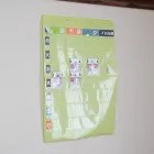 統合失調症